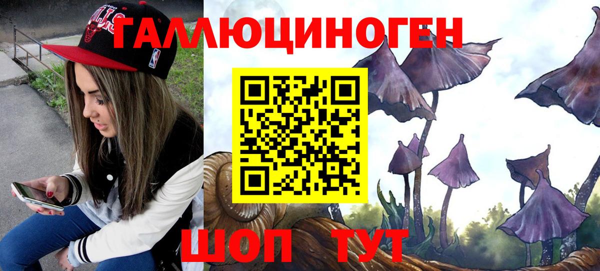 Псилоцибиновые грибы Psilocybe  Вход с VPN  где продают наркотики  Пугачёв  Галлюциногенные грибы Psilocybine cubensis 