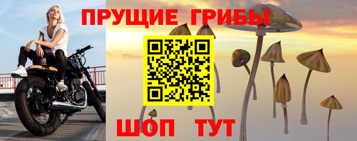 Псилоцибиновые грибы GOLDEN TEACHER Пугачёв